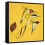 Humming Birds-null-Framed Stretched Canvas