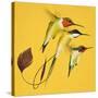 Humming Birds-null-Stretched Canvas