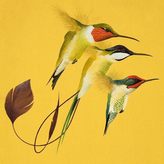 Premium Giclee Print, , large