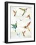 Humming I-Aimee Wilson-Framed Art Print