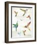 Humming I-Aimee Wilson-Framed Art Print