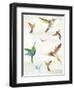 Humming I-Aimee Wilson-Framed Art Print