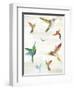 Humming I-Aimee Wilson-Framed Art Print