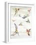 Humming II-Aimee Wilson-Framed Art Print