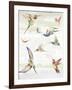 Humming II-Aimee Wilson-Framed Art Print