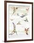 Humming II-Aimee Wilson-Framed Art Print