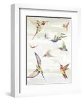 Humming II-Aimee Wilson-Framed Art Print