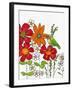 Humming on a Petal-Blenda Tyvoll-Framed Art Print