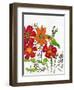 Humming on a Petal-Blenda Tyvoll-Framed Art Print