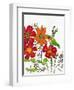 Humming on a Petal-Blenda Tyvoll-Framed Art Print