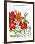 Humming on a Petal-Blenda Tyvoll-Framed Art Print