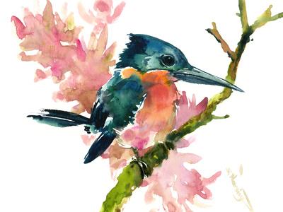 https://imgc.allpostersimages.com/img/posters/hummingbird-15_u-L-F9JR8M0.jpg?artPerspective=n
