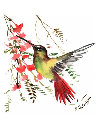 https://imgc.allpostersimages.com/img/posters/hummingbird-17_u-L-F7ROYY0.jpg?artPerspective=n