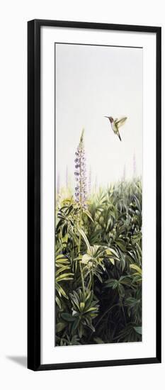 Hummingbird 2-Rusty Frentner-Framed Giclee Print