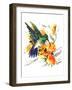 Hummingbird 6-Suren Nersisyan-Framed Art Print