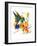 Hummingbird 6-Suren Nersisyan-Framed Art Print