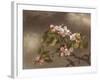 Hummingbird and Apple Blossoms, 1875-Martin Johnson Heade-Framed Giclee Print