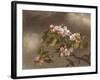 Hummingbird and Apple Blossoms, 1875-Martin Johnson Heade-Framed Giclee Print