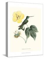 Hummingbird and Bloom I-Mulsant & Verreaux-Stretched Canvas