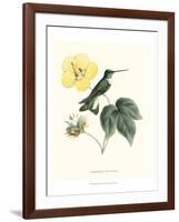 Hummingbird and Bloom I-Mulsant & Verreaux-Framed Art Print