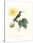 Hummingbird and Bloom I-Mulsant & Verreaux-Stretched Canvas