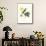 Hummingbird and Bloom I-Mulsant & Verreaux-Mounted Art Print displayed on a wall