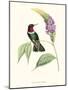 Hummingbird and Bloom II-Mulsant & Verreaux-Mounted Art Print