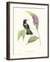 Hummingbird and Bloom II-Mulsant & Verreaux-Framed Art Print