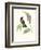 Hummingbird and Bloom II-Mulsant & Verreaux-Framed Art Print