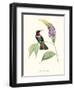 Hummingbird and Bloom II-Mulsant & Verreaux-Framed Art Print