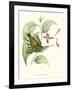 Hummingbird and Bloom III-Mulsant & Verreaux-Framed Art Print