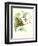 Hummingbird and Bloom III-Mulsant & Verreaux-Framed Art Print