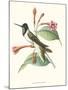 Hummingbird and Bloom IV-Mulsant-Mounted Art Print