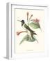 Hummingbird and Bloom IV-Mulsant-Framed Art Print