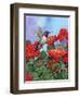 Hummingbird and Flower 2-William Vanderdasson-Framed Premium Giclee Print