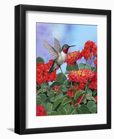 Hummingbird and Flower 2-William Vanderdasson-Framed Premium Giclee Print