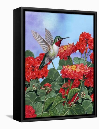 Hummingbird and Flower 2-William Vanderdasson-Framed Stretched Canvas