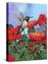 Hummingbird and Flower 2-William Vanderdasson-Stretched Canvas