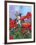 Hummingbird and Flower 2-William Vanderdasson-Framed Giclee Print