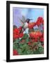 Hummingbird and Flower 2-William Vanderdasson-Framed Giclee Print