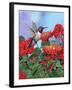 Hummingbird and Flower 2-William Vanderdasson-Framed Giclee Print