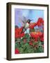 Hummingbird and Flower 2-William Vanderdasson-Framed Giclee Print