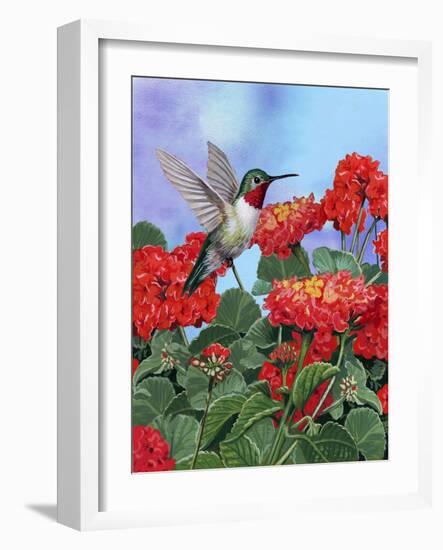 Hummingbird and Flower 2-William Vanderdasson-Framed Giclee Print