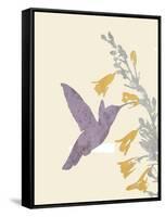 Hummingbird and flowers-Karen Williams-Framed Stretched Canvas