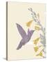 Hummingbird and flowers-Karen Williams-Stretched Canvas