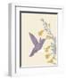 Hummingbird and flowers-Karen Williams-Framed Giclee Print