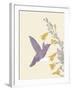 Hummingbird and flowers-Karen Williams-Framed Giclee Print