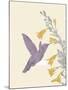 Hummingbird and flowers-Karen Williams-Mounted Giclee Print