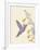 Hummingbird and flowers-Karen Williams-Framed Giclee Print