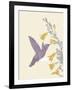 Hummingbird and flowers-Karen Williams-Framed Giclee Print